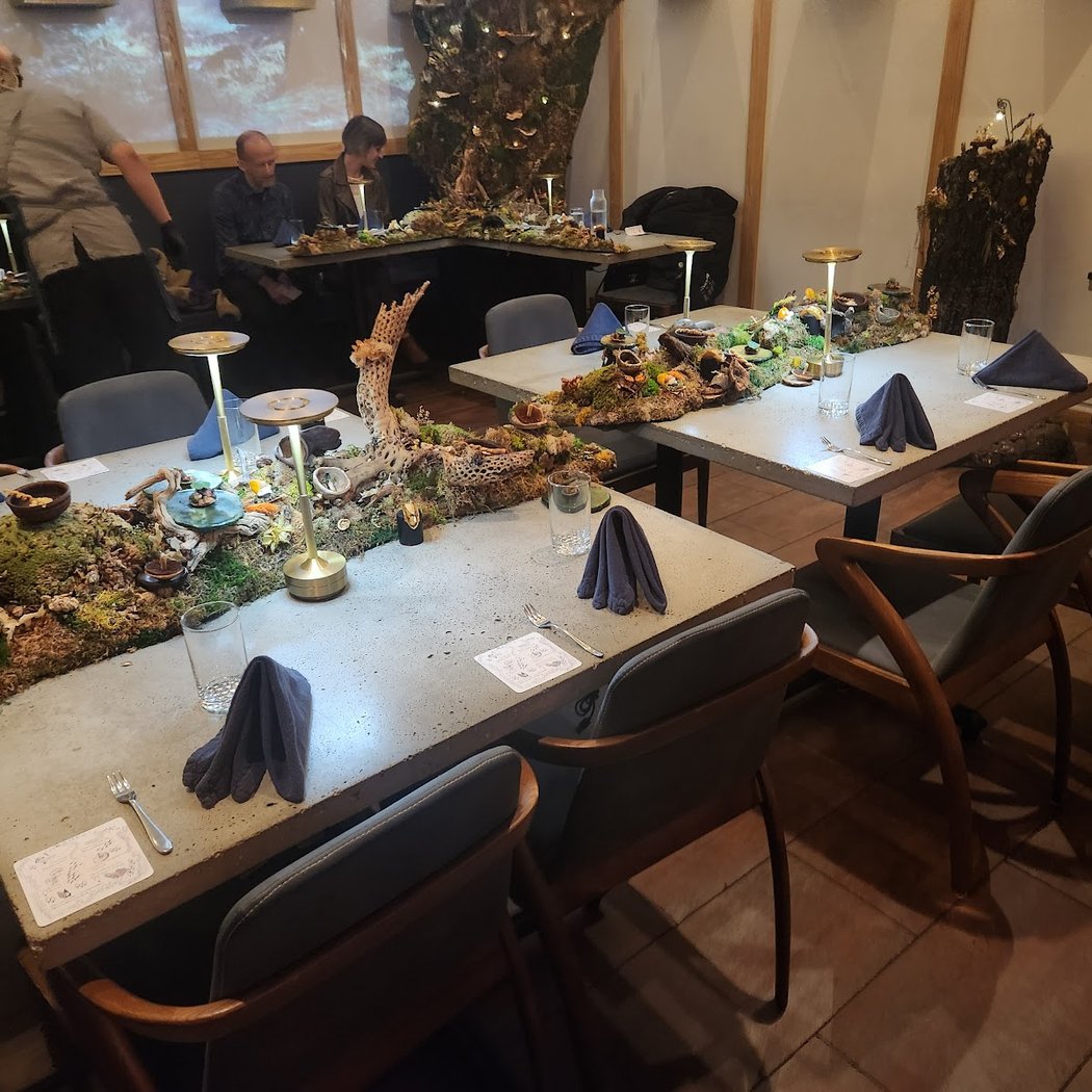 Merchant Roots Immersive Fine Dining Experience